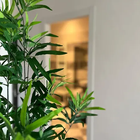 Sonnino House 피사